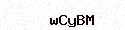 Visual Bestätigung Security Code